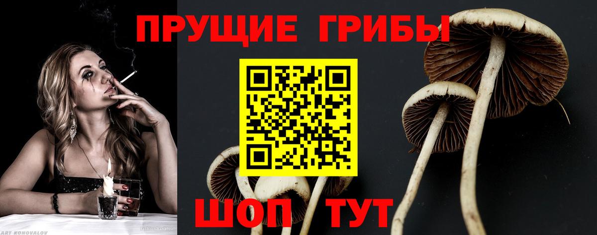 Псилоцибиновые грибы Magic Shrooms Волжск